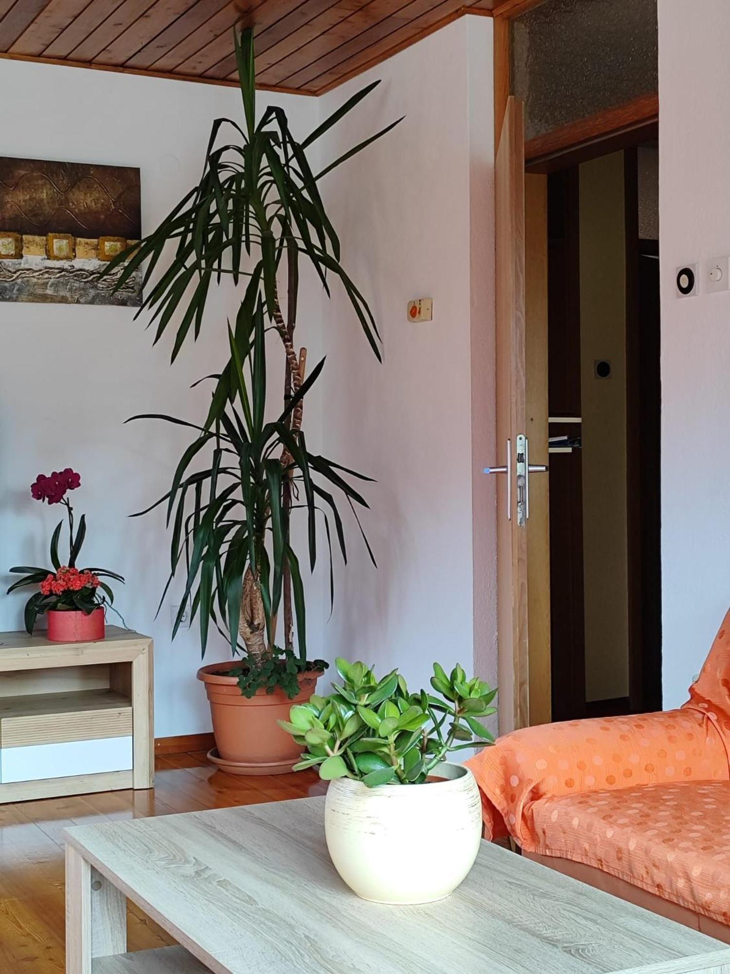 Apartment Kolman Толмин Екстер'єр фото